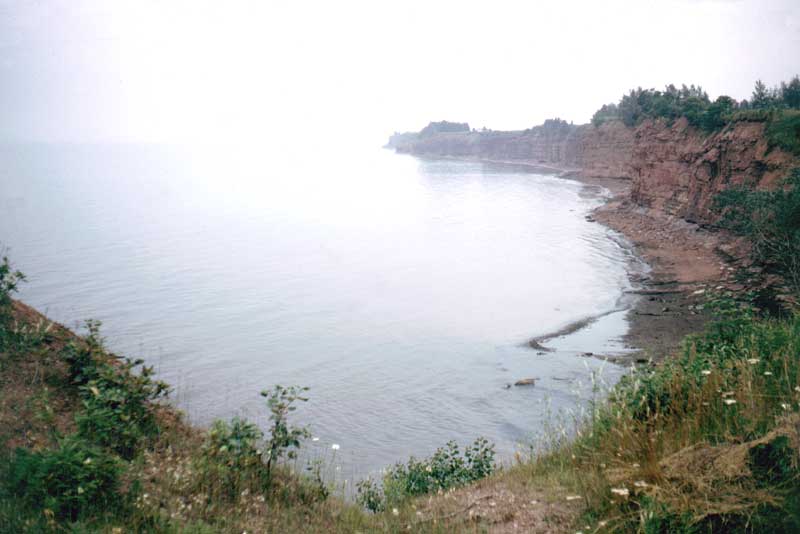 Hopetown la côte dans le brouillard