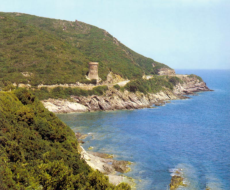 Torre de
                      Losse