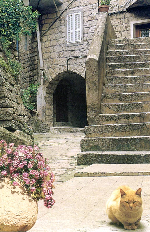 CANNELLE :
                      ruelle typique et son guetteur