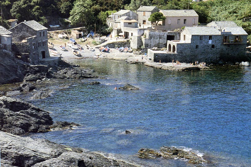 La marine de Pino
