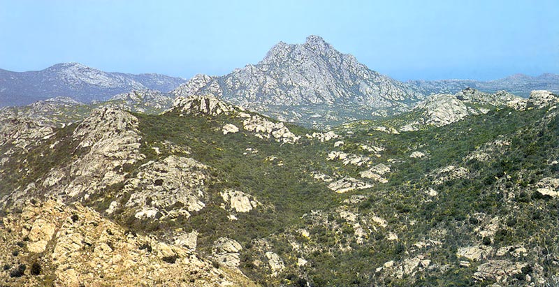 Le désert des
                    Agriates