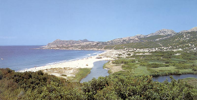 Lozari