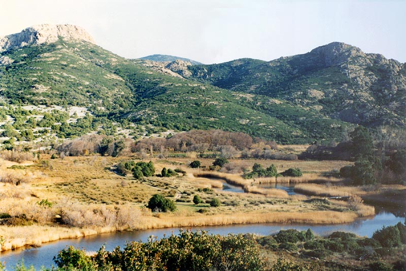 LOZARI : le marais et
            l'estuaire de la rivière