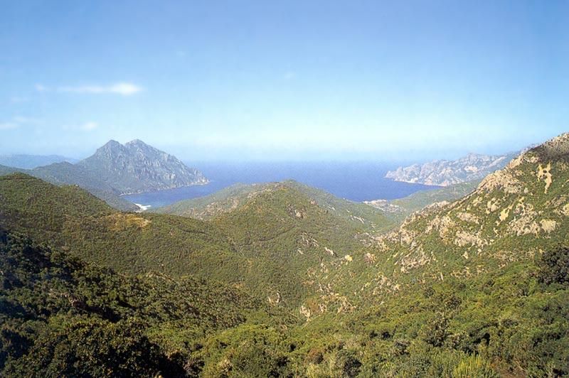 Vue depuis
                      le Col de Palmarella