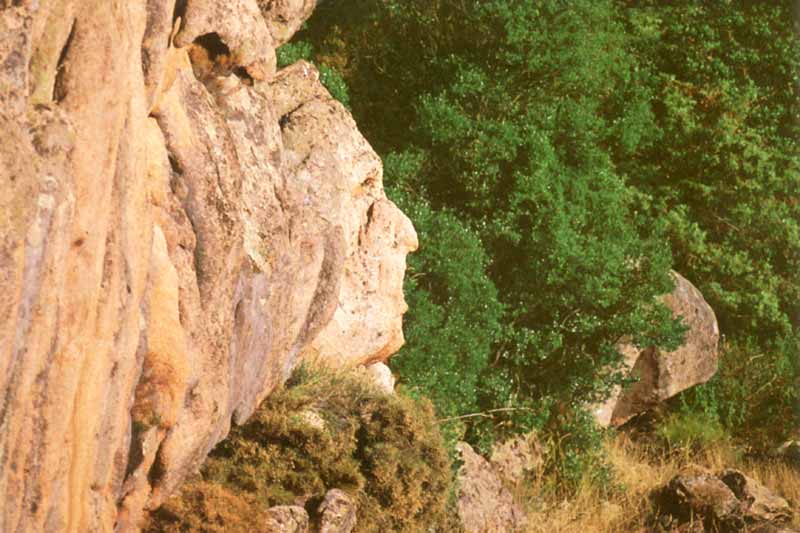 Dans les
                        Calanques : la tête d'Indien