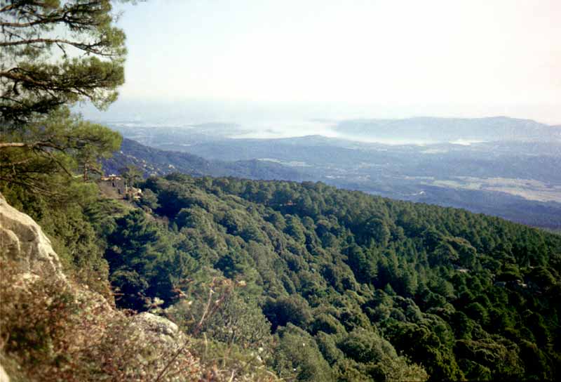 Baie de Porto-Vecchio depuis la route du col de
                  Punticella