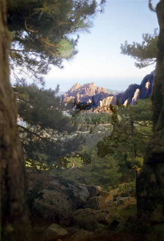 Dernier coup d'oeil vers Punta Tafonata en
                  quittant le col de Bavella