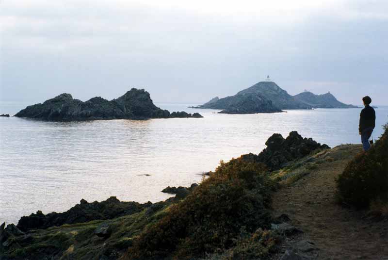 Au crépuscule, Juliette contemple les Îles
                  Sanguinaires