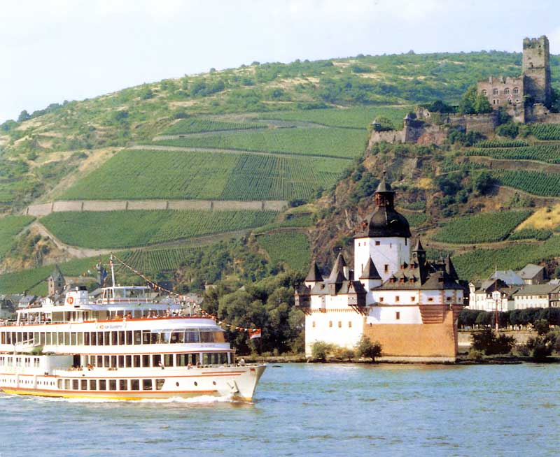 Châteaux de Pfalz et de Gutenfels entourés de
              vignobles