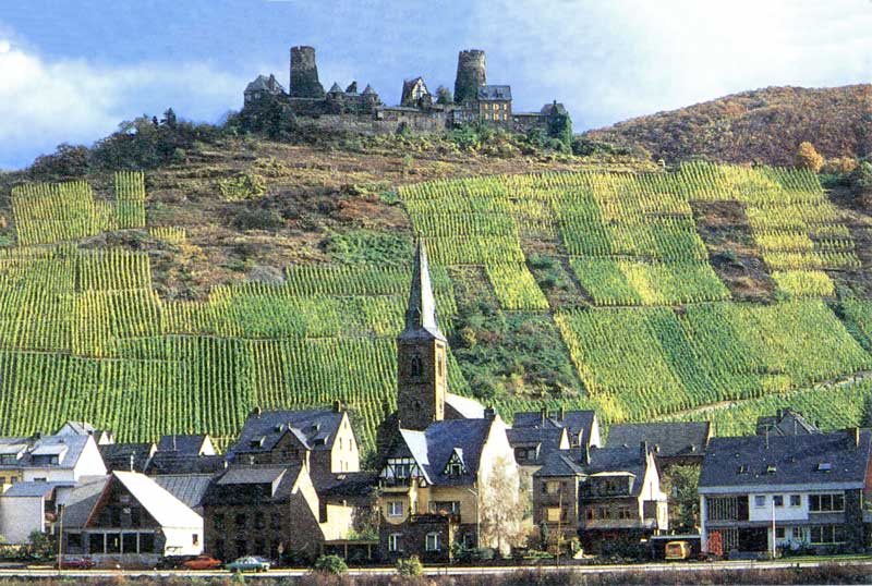 Saint-Goarhausen au pied du château