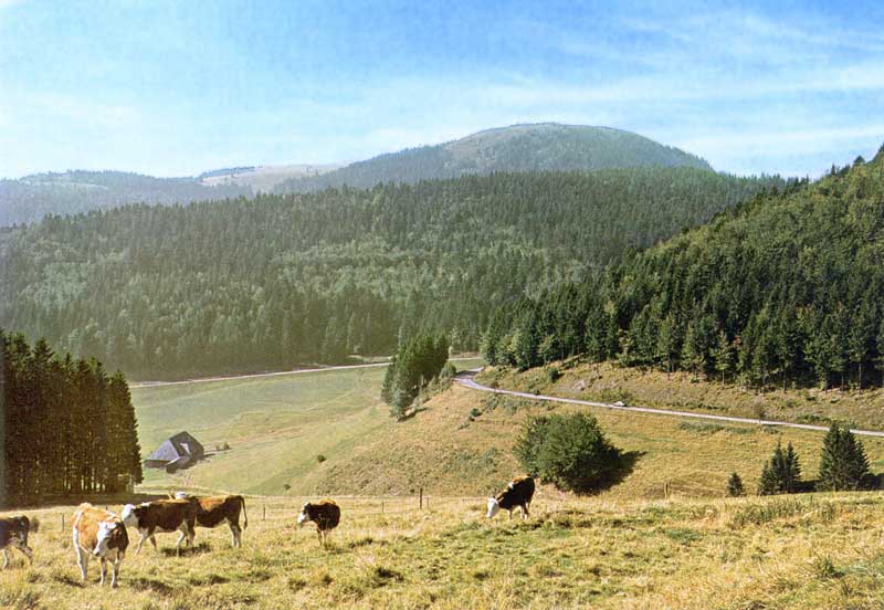 route-du-Belchen