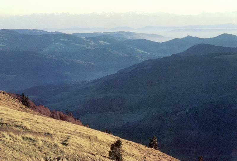Panorama sur les Monts depuis le Belchen
