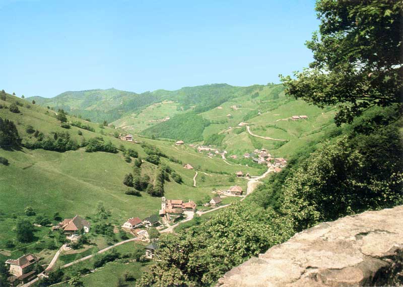 Vallée du Munstertal