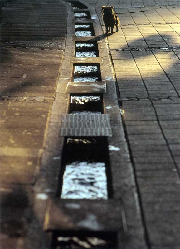 Freiburg : caniveau d'eau fraîche