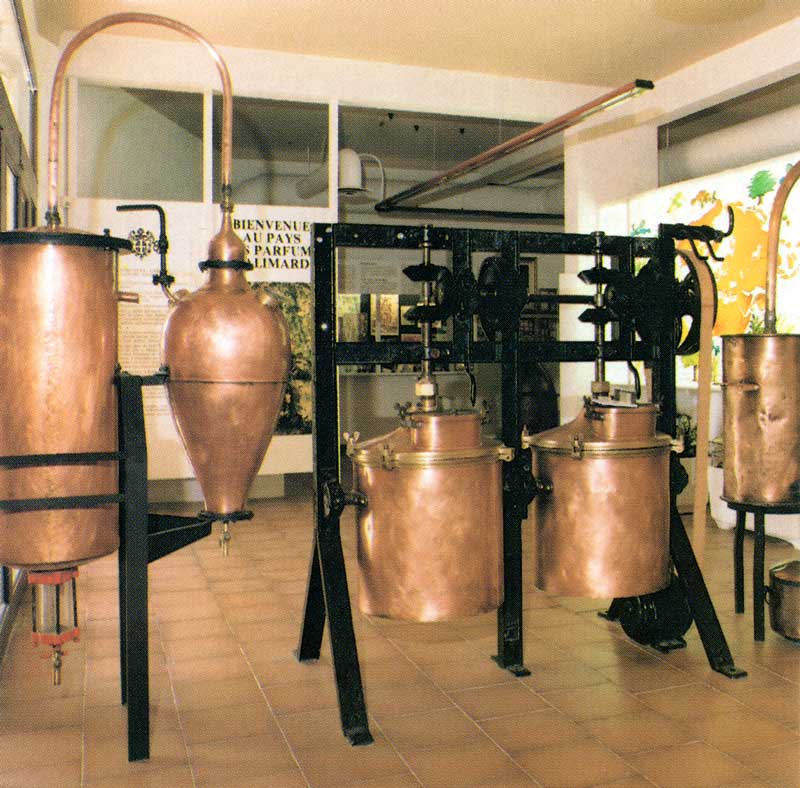 Anciens alambics en cuivre