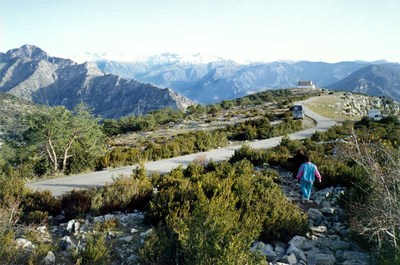 Sur la crête d'Utelle