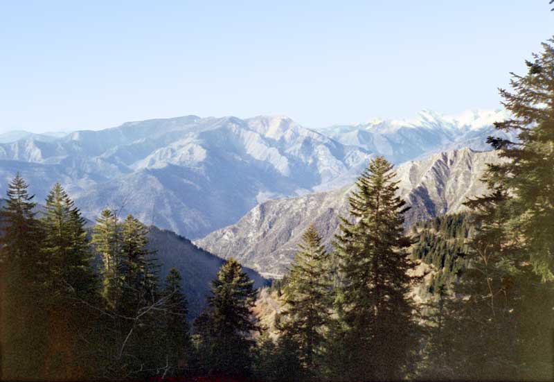 Col
          de Turini vers le Nord