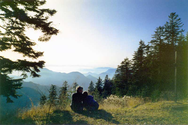 Panorama depuis le Col de Turini vers le Sud