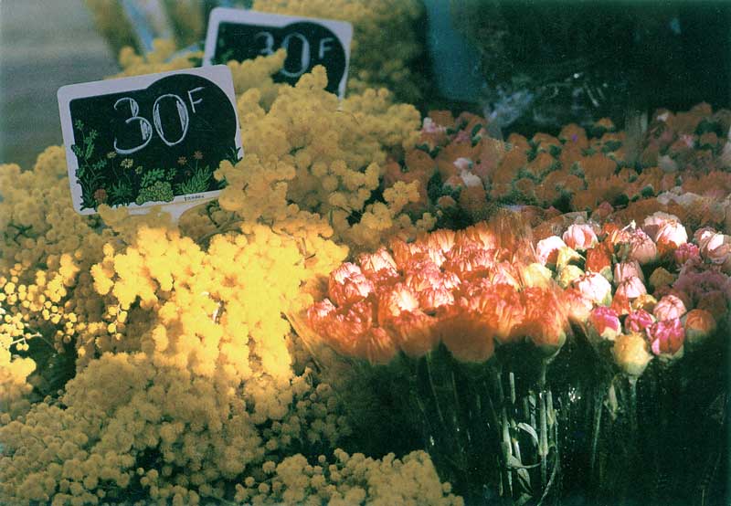 Marché aux fleurs de Nice