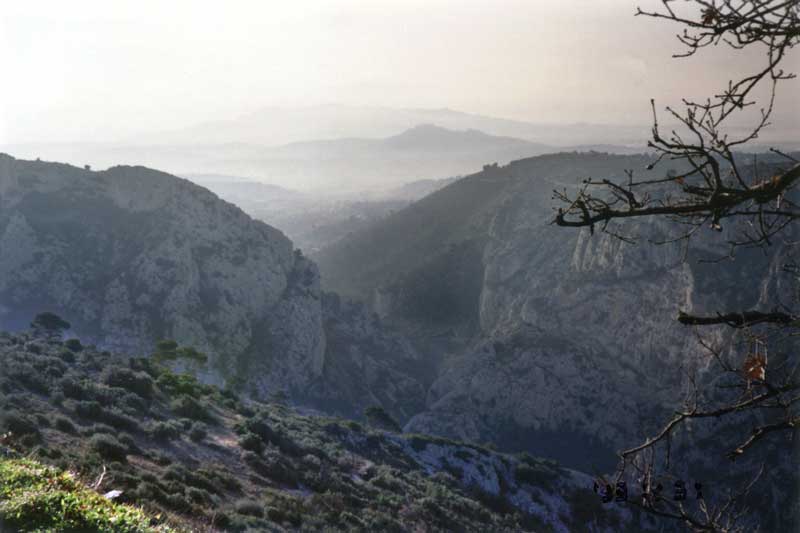Evenos : la vallée du Destel dans la brume
                  matinale