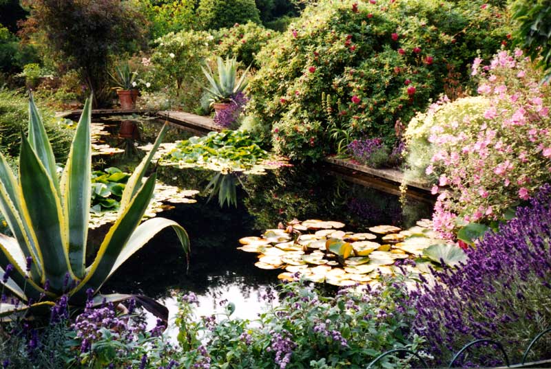 Dans le
                jardin d'eau d'Hidcote Garden