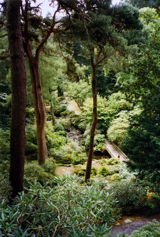 Bodnant Garden : le torrent aux rives herbues
                    coulant au fond de la Combe