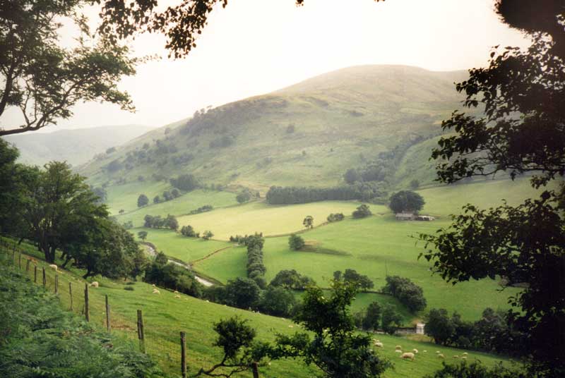 Vallée de
                  Ty-Nant