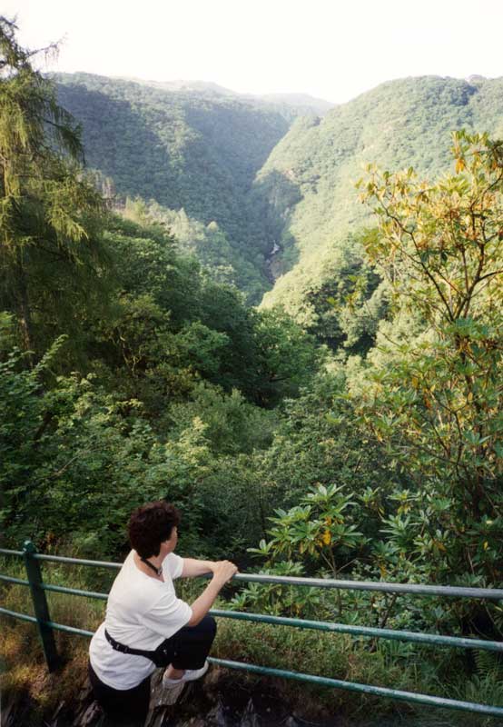 Gorge du Devil's Bridge