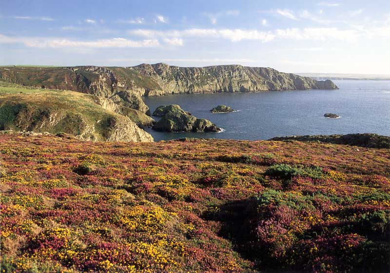 fishguard-pwll-deri