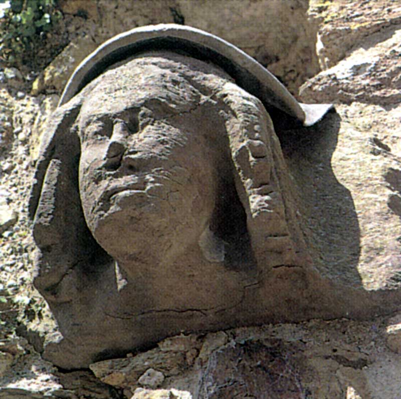 Corbeau du Palais épiscopal