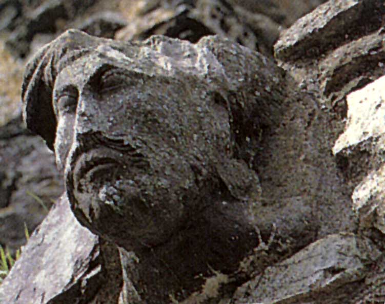 Corbeau
          du Palais épiscopal