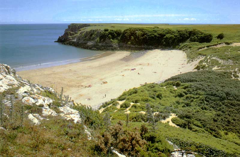 La jolie plage de Brafundle à Stackpole... sous le
                soleil !