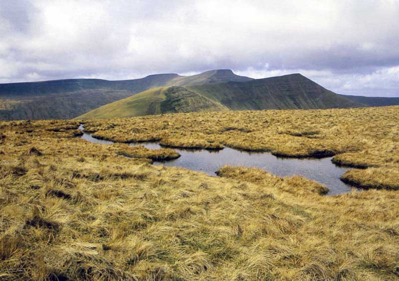 Brecon : plan de Maen-Lig