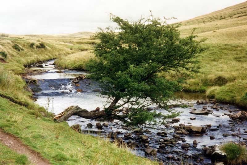 Brecon:
                vers le col de Maen-Lig