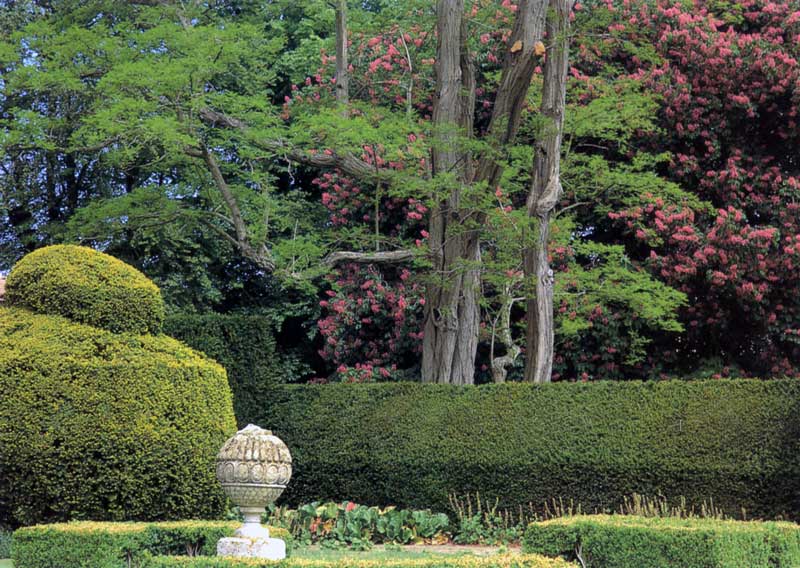 The-Courts-arbre-en-fleur