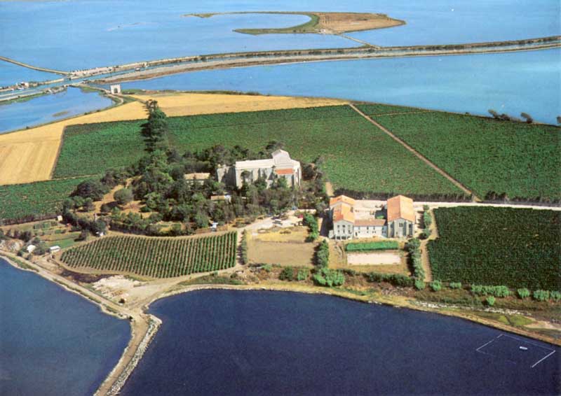 Site de
                  Maguelonne (XIème) vu du ciel