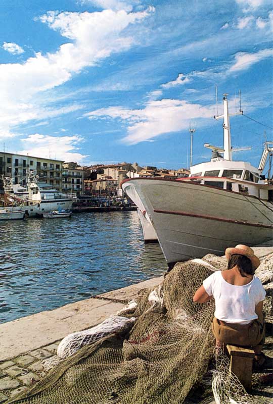 Sur les quais
                  de Sète, dans le bassin des chalutiers
