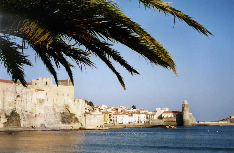 Collioure : le château Royal et l'Église N.D. des
                  Anges