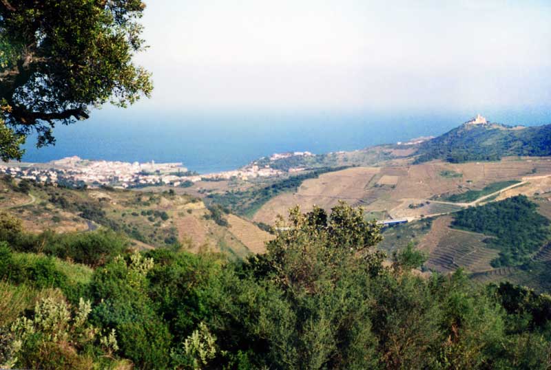 Vue sur la Baie de Collioure en montant vers la
                  Tour Madeloc, près de l'ermitage de N-D de la
                  Consolation