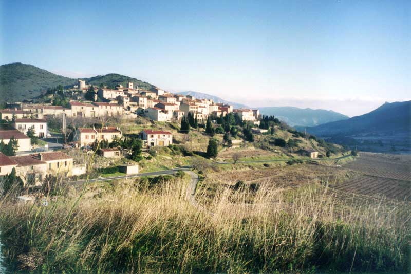 Cucugnan au dessus
                de ses vignes