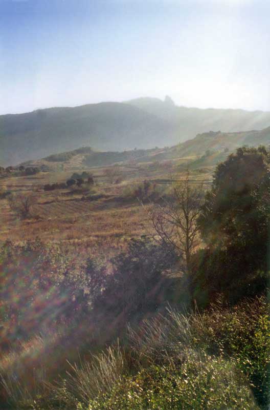 Au loin
                et à contre-jour, la silhouette du donjon de Quéribus
                perché sur son piton...