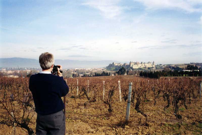 En
                vue des remparts de Carcassonne émergeant au milieu des
                vignes...