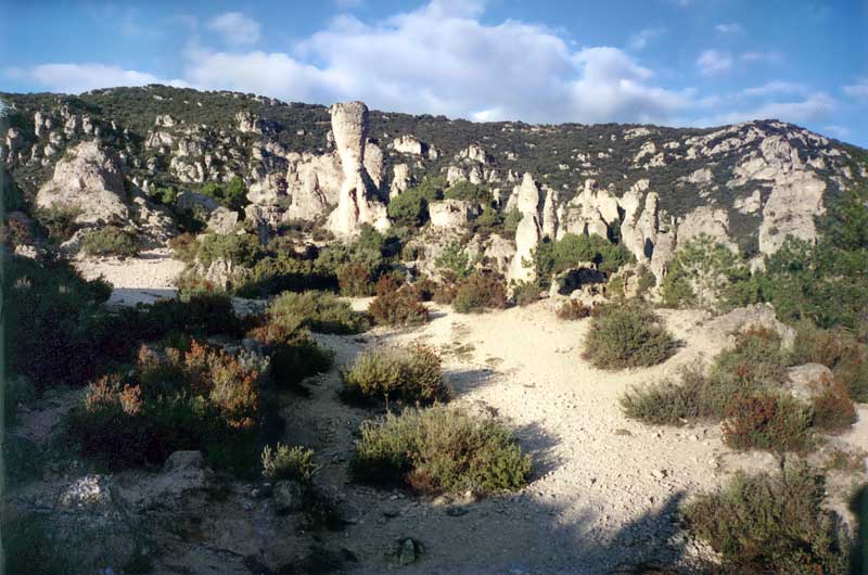 Au
                  centre du cirque de Mourèze, monolithes et
                  buissons...