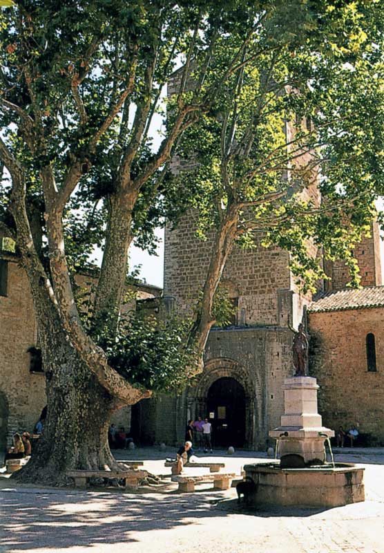 Arbre de la Liberté et fontaine devant l'entrée
                  de l'abbatiale de Saint Guilhem