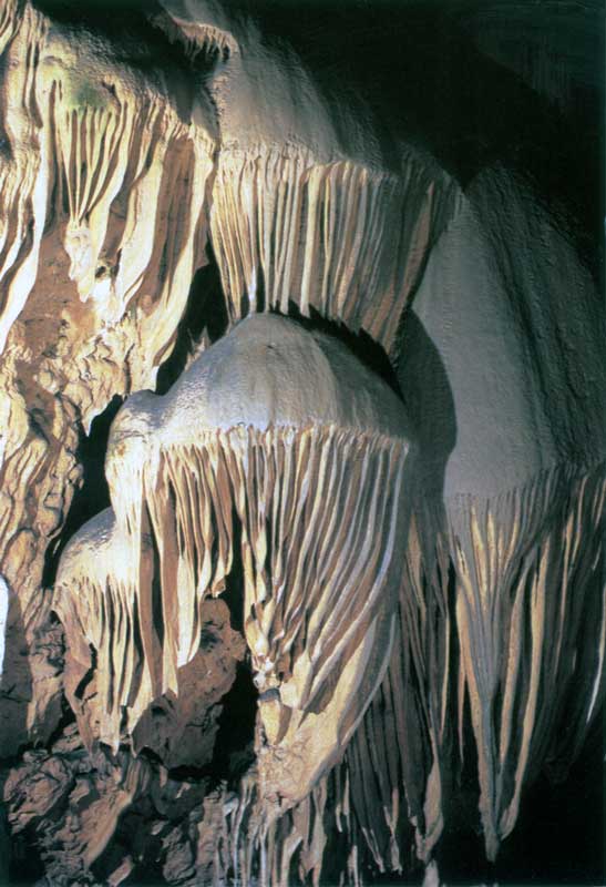 La
                Méduse de la Grotte des Demoiselles