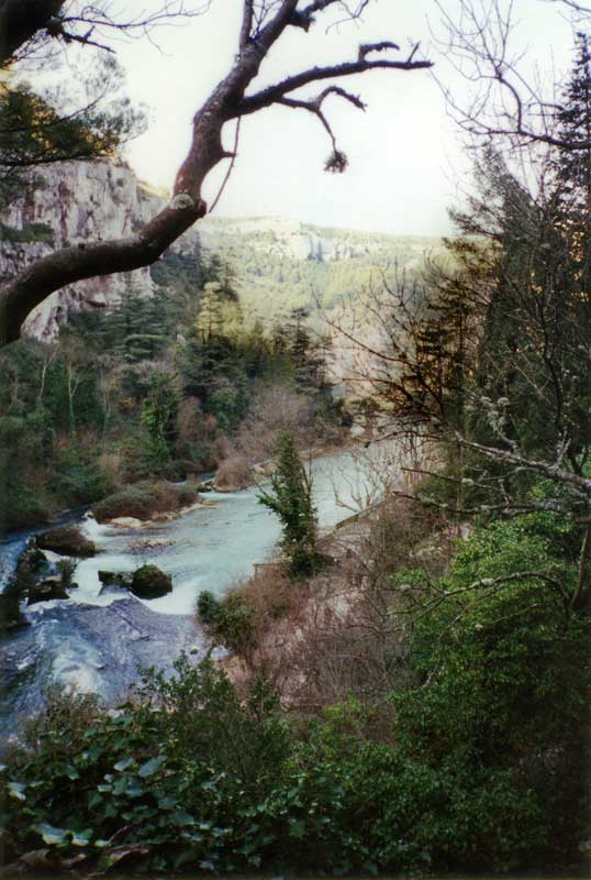 Le vallon où
                coule la Sorgue, verte et rapide, au sortir de la
                Fontaine de Vaucluse