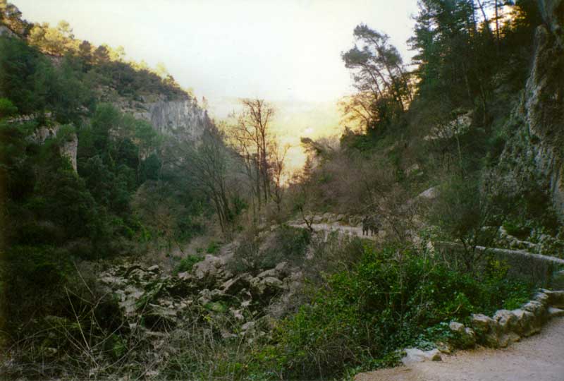 Chemin rustique menant au fond du vallon jusqu'à la
                Fontaine de Vaucluse