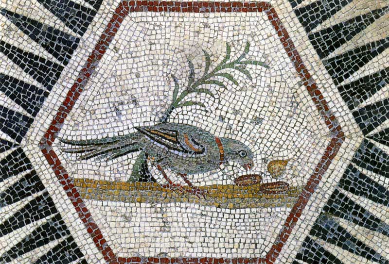 Mosaïque de la Maison du Paon : perroquet
                  mangeant