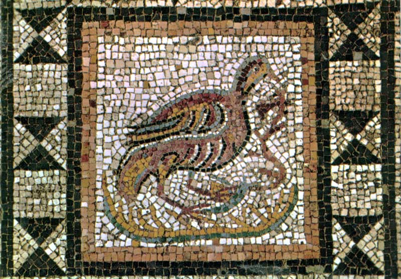 Détail de mosaïque représentant une perdrix