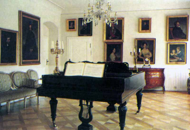 poznan-rogalin-salon-portraits